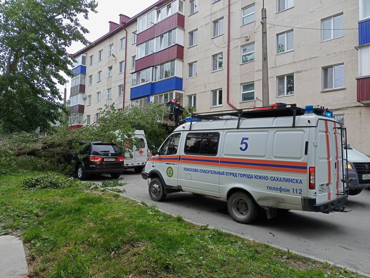 Ураганный ветер в Южно-Сахалинске валит деревья прямо на автомобили